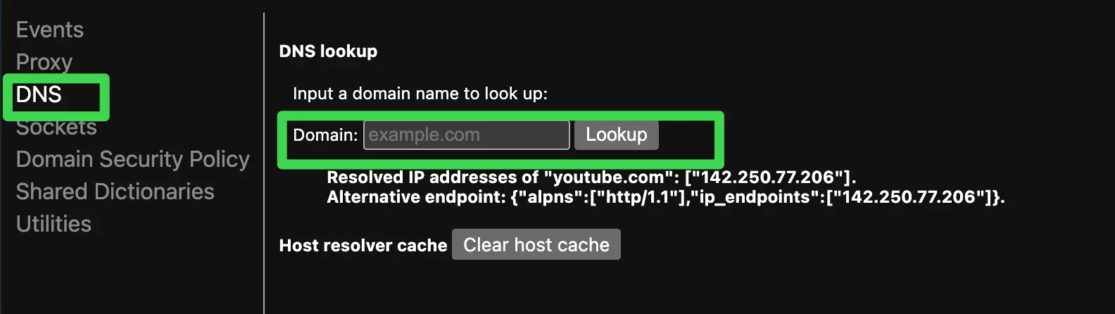 Chrome net-internals 顯示 youtube.com 的 DNS lookup 結果