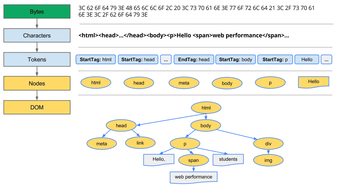 HTML bytes 經過字元解碼、Tokenization 與 Node 建立後，組成 DOM Tree